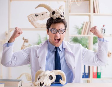 Komik çılgın profesör hayvan iskeletlerini inceliyor.