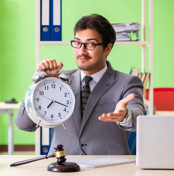 Junge hübsche Anwältin arbeitet im Büro — Stockfoto