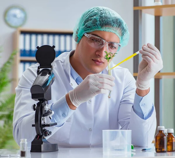 Cientista de biotecnologia trabalhando no laboratório — Fotografia de Stock