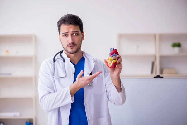 Junge männliche Arzt Kardiologe im Klassenzimmer — Stockfoto