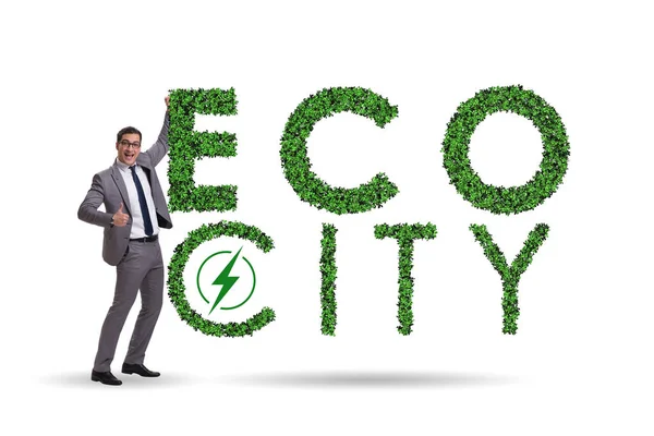 Eco ville en écologie concept — Photo