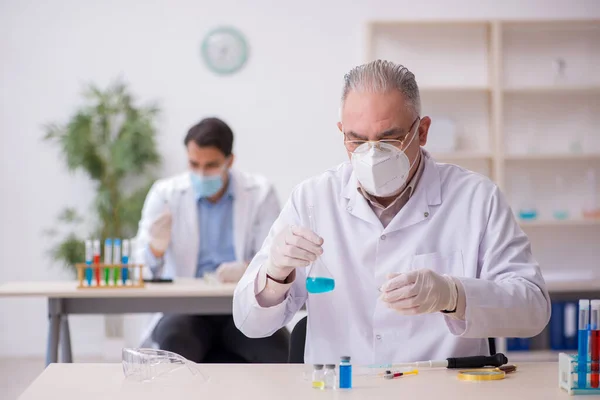 두 명의 남성 화학자가 전염병 이 유행하는 동안 실험실에서 일하고 있습니다. — 스톡 사진