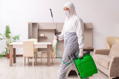 Genç erkek müteahhit evde haşere kontrolü yapıyor.