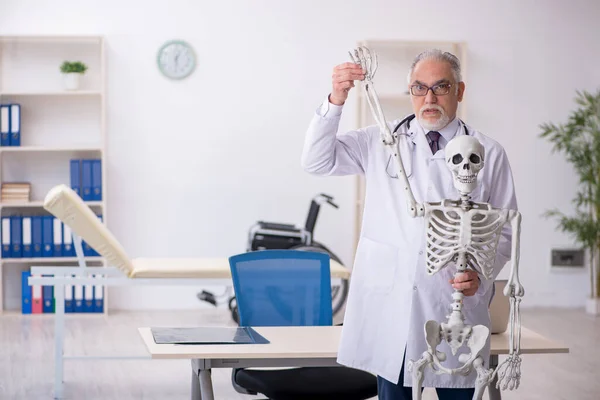 Yaşlı erkek doktor insan iskeleti gösteriyor. — Stok fotoğraf