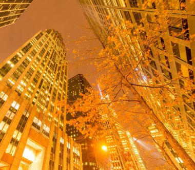 Günbatımında New York Manhattan 'ın gece manzarası