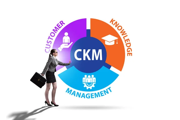 Concepto empresarial de gestión del conocimiento del cliente — Foto de Stock