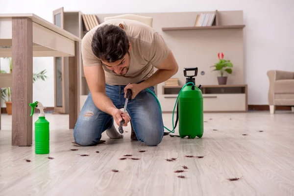 Young man exterminating cockroaches at home — Stock Photo, Image