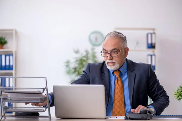 Velho chefe a trabalhar no escritório — Fotografia de Stock