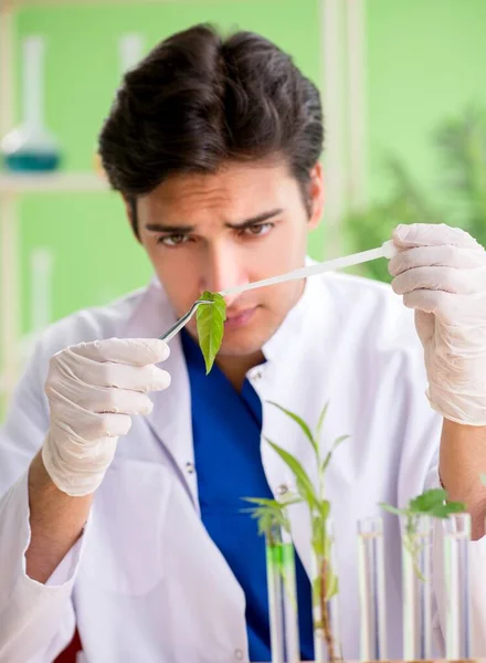 Young biotechnology scientist chemist working in lab — Stock Photo, Image