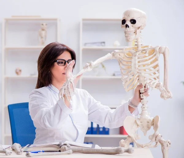 Doktor pracující v laboratoři na kostře — Stock fotografie