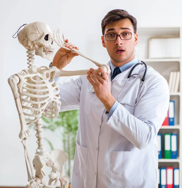 Yong médico masculino com esqueleto isolado em branco — Fotografia de Stock