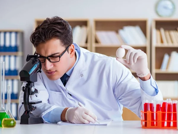 Bilim adamı organik meyve ve sebzeler üzerinde çalışıyor.