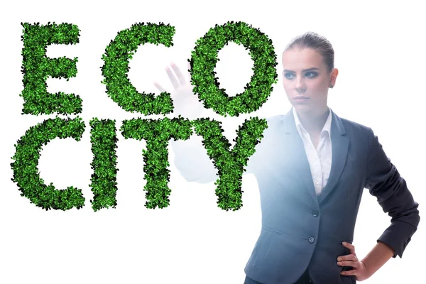 Ökologisches Konzept mit Unternehmerin — Stockfoto