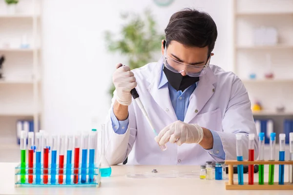 Jeune chimiste masculin travaillant au laboratoire pendant la pandémie — Photo