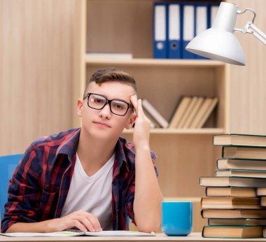 Okul sınavlarına hazırlanan genç bir öğrenci.