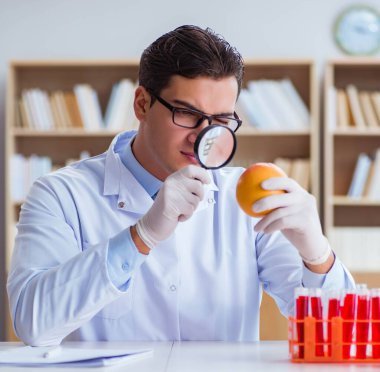 Bilim adamı organik meyve ve sebzeler üzerinde çalışıyor.