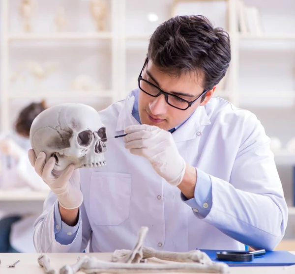 Profesor studující lidskou kostru v laboratoři — Stock fotografie