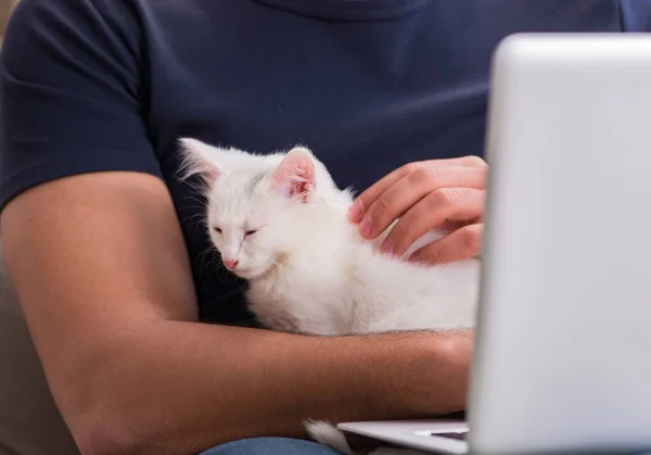 Человек, работающий на ноутбуке и играющий в кота — стоковое фото