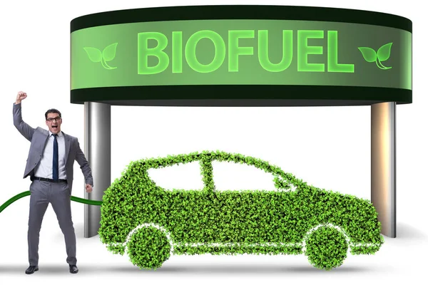 Begreppet biobränsle och bevarande av ekologi — Stockfoto