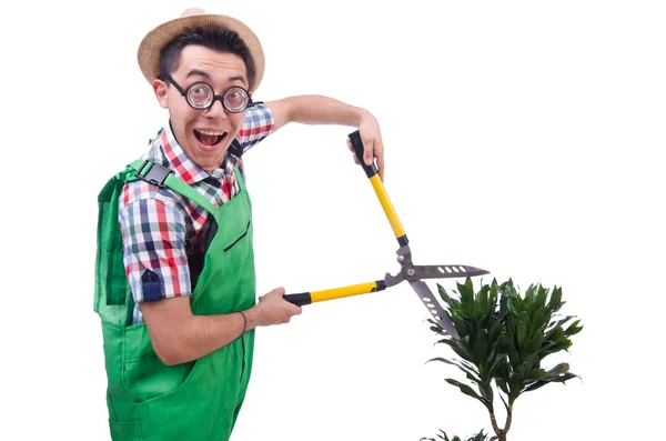 Homme drôle plans de coupe dans son jardin — Photo