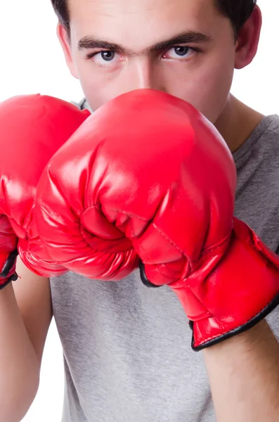 Boxer preparing for the tournament isolated on white — Stock Photo, Image