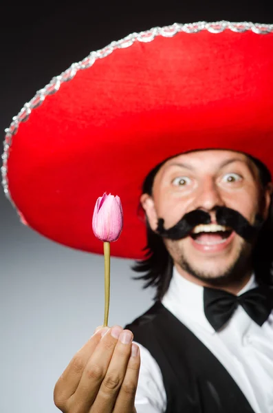 Divertente messicano con sombrero in concetto — Foto Stock