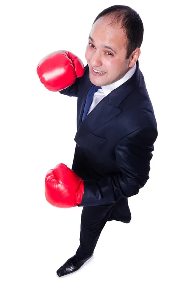 Young businessman boxer isolated on white — Stock Photo, Image