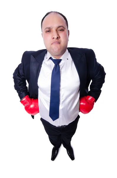 Young businessman boxer isolated on white — Stock Photo, Image