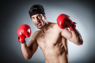 Kaslı boksör kırmızı eldivenli.