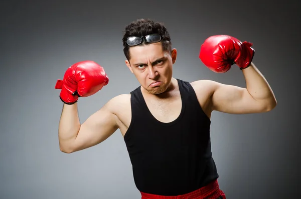 Boxer drôle avec des gants rouges sur fond sombre — Photo