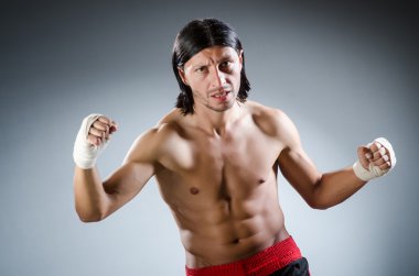 Dövüş sanatları eğitimi almış.