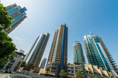 BAE 'deki Dubai Marina gökdelenleri