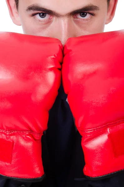 Young businessman boxer isolated on white — Stock Photo, Image