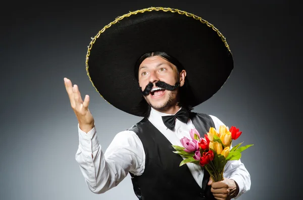 Mexicano engraçado com sombrero em conceito — Fotografia de Stock