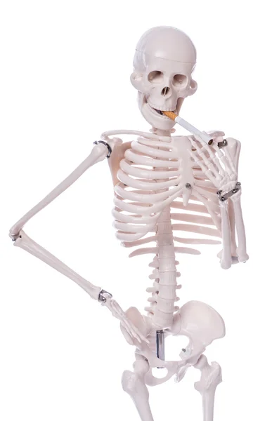 Skeleton smoking cigarette isolated on white — Stock Photo, Image