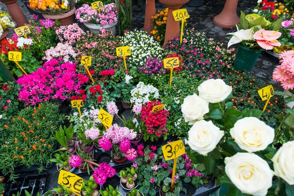 Pouliční květinářství s barevnými květy — Stock fotografie