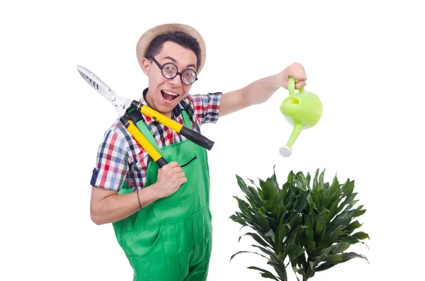 Homme drôle plans de coupe dans son jardin — Photo