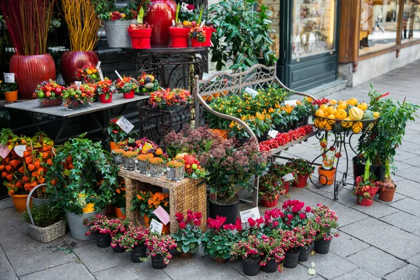 カラフルな花の通りの花の店 — ストック写真