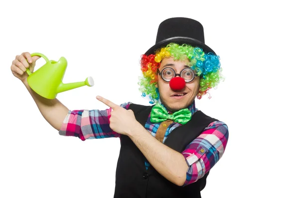 Clown isolerad på den vita bakgrunden — Stockfoto