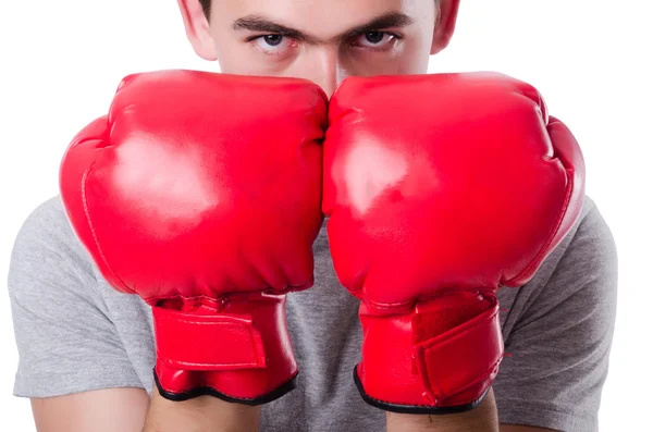 Boxer preparing for the tournament isolated on white — Stock Photo, Image