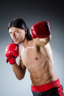 Dövüş sanatları eğitimi alıyor.