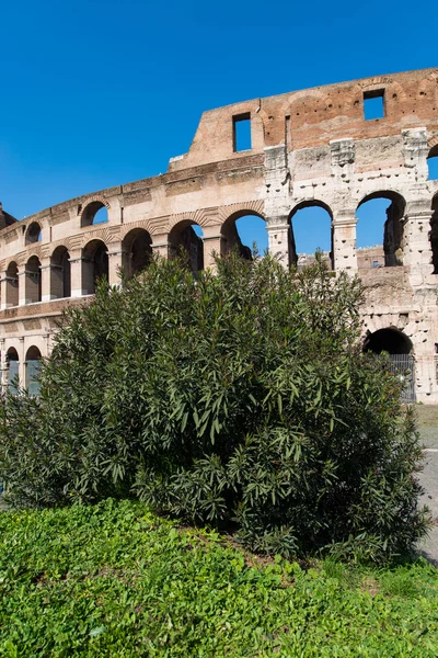 Berömd kolosseum på ljusa sommardag — Stockfoto