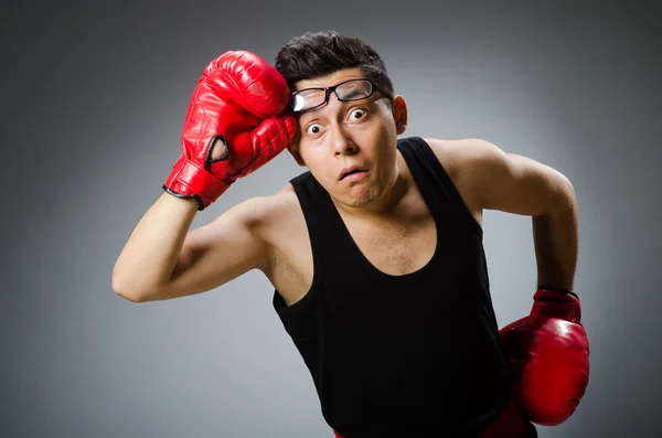 Boxer engraçado com luvas vermelhas contra fundo escuro — Fotografia de Stock