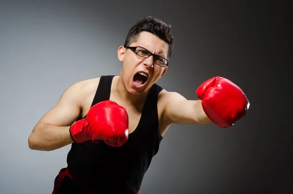 Boxer drôle avec des gants rouges sur fond sombre — Photo