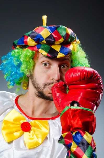 Buffo clown con i guanti da boxe — Foto Stock