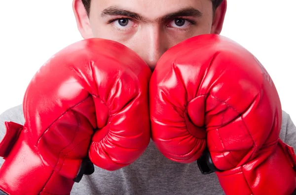 Boxer preparing for the tournament isolated on white — Stock Photo, Image