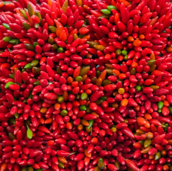 Lots of red peppers arranged at the market — Stock Photo, Image
