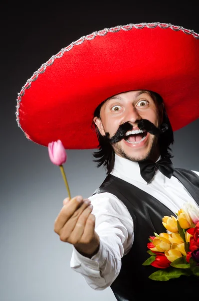 Divertente messicano con sombrero in concetto — Foto Stock