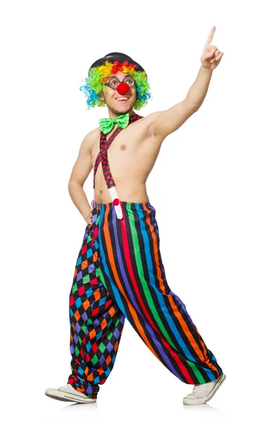 Funny clown isolated on the white background — Stock Photo, Image