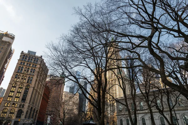 New York skyscrapers on bright day — Stock Photo, Image